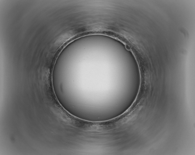 X0000112531265200908171413