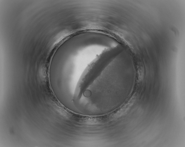 X0000112531266200908171413