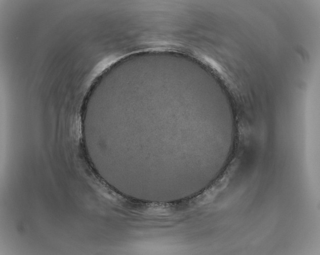 X0000112531267200908171413