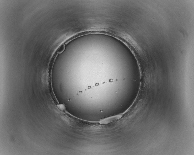 X0000112531268200908171413