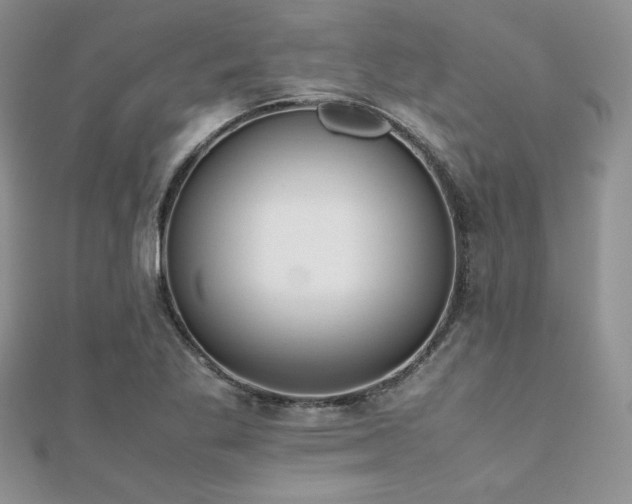 X0000112531269200908171413