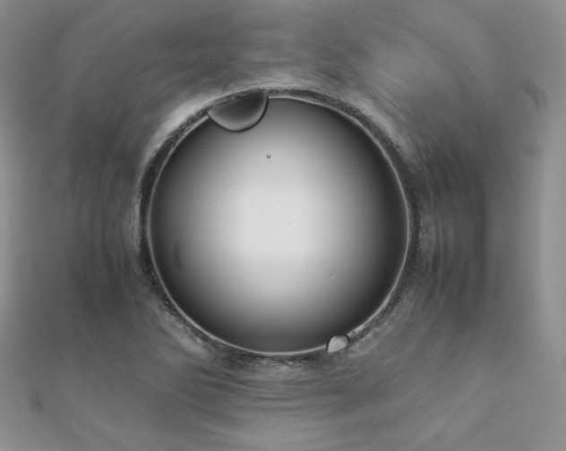 X0000112531270200908171413