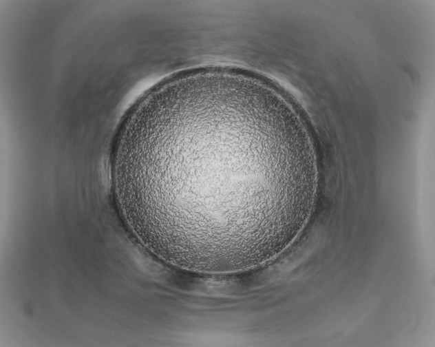 X0000112531271200908171413