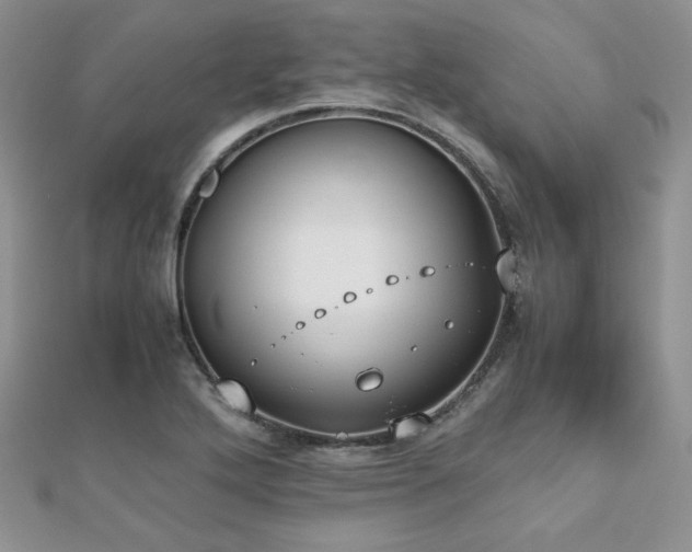 X0000112531272200908171413