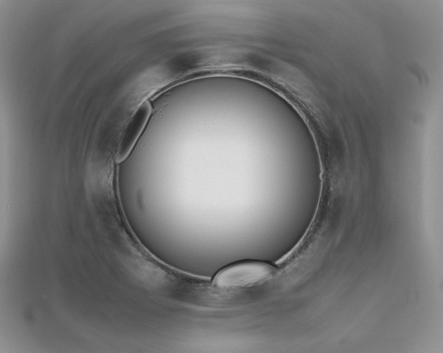 X0000112531273200908171413