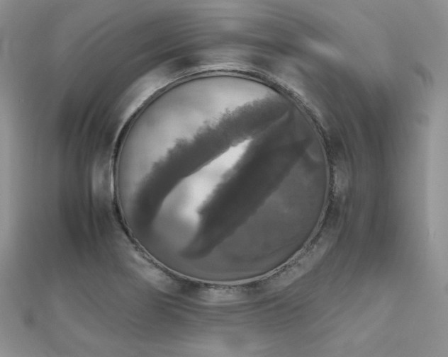 X0000112531274200908171413