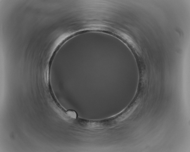 X0000112531275200908171413