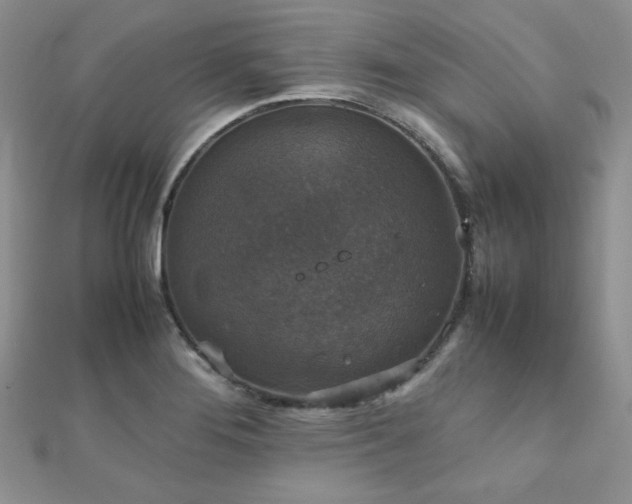 X0000112531276200908171413