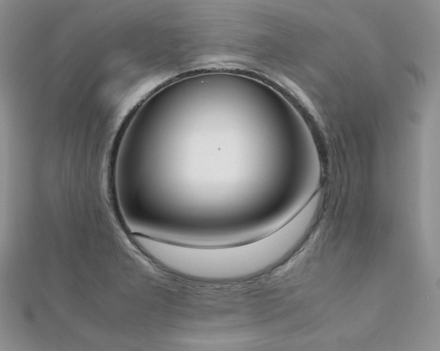 X0000112531277200908171413