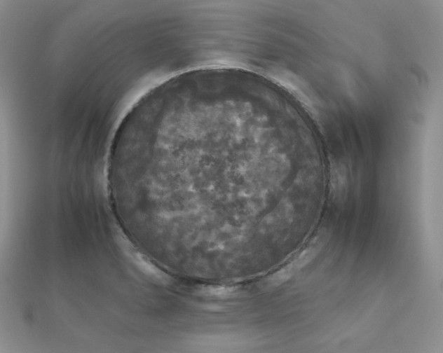 X0000112531278200908171413