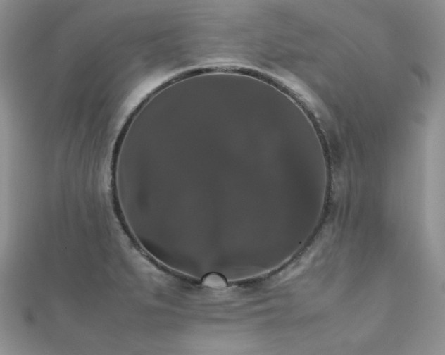 X0000112531279200908171413