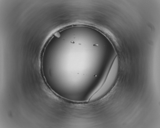 X0000112531280200908171413