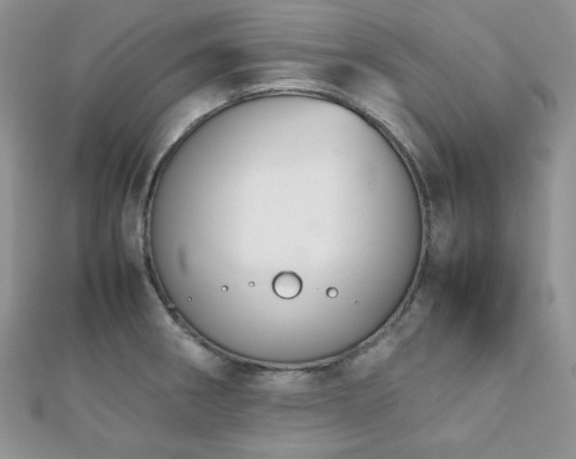 X0000112531282200908171413