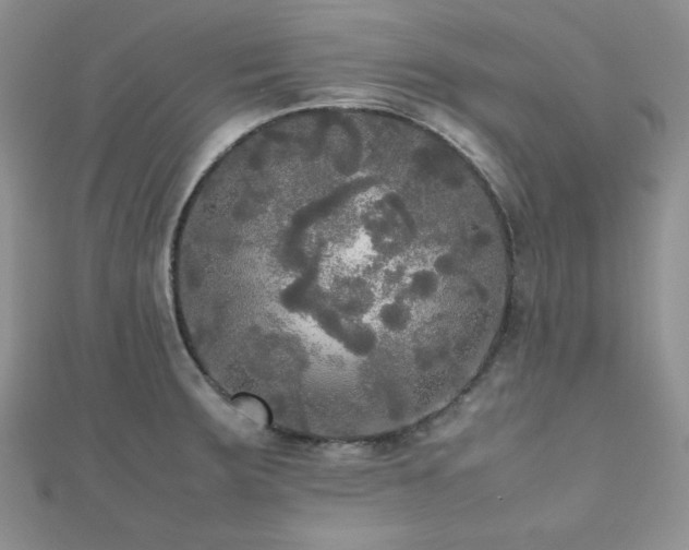 X0000112531283200908171413