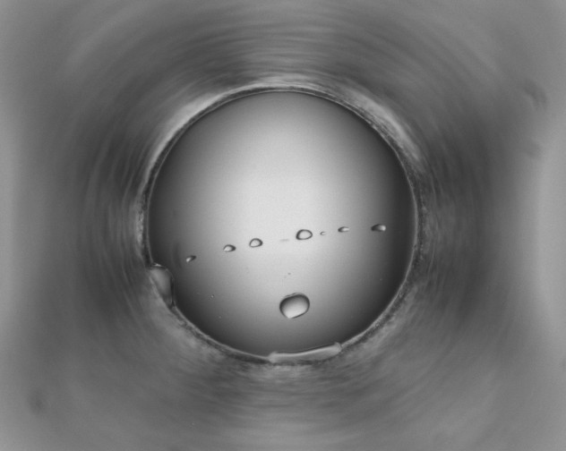 X0000112531284200908171413