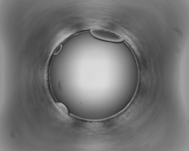 X0000112531285200908171412