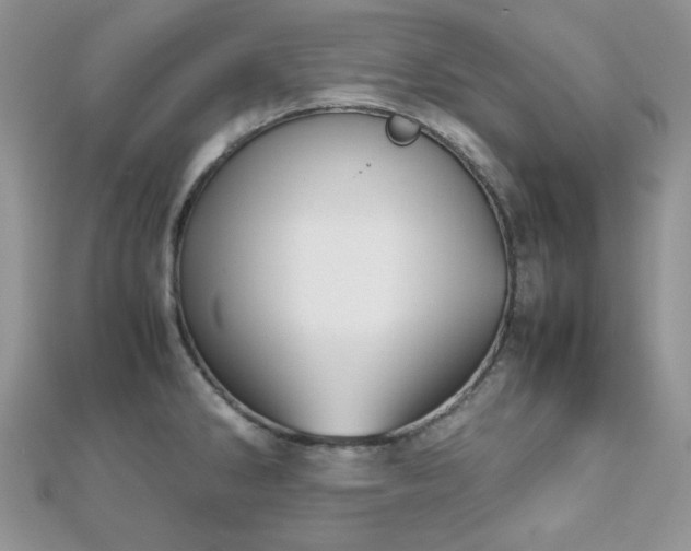 X0000112531286200908171412