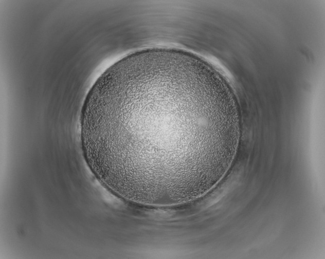 X0000112531287200908171412