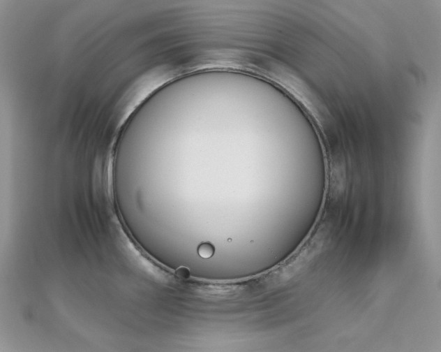 X0000112531290200908171412