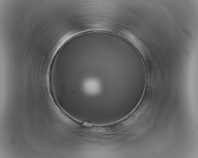 X0000112531291200908171412