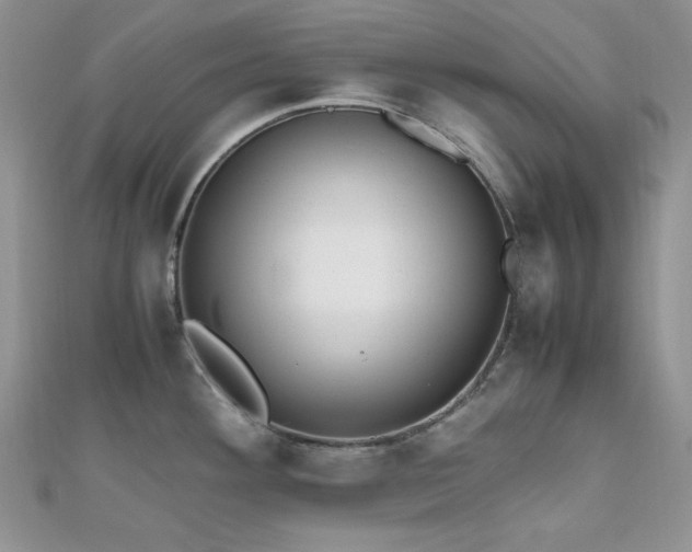 X0000112531292200908171412