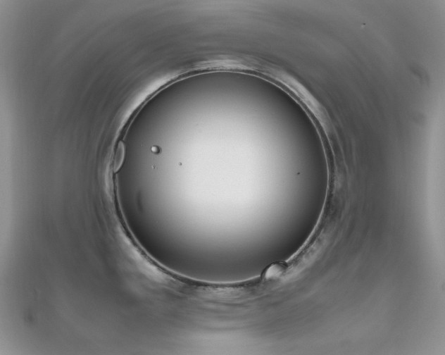 X0000112531293200908171412