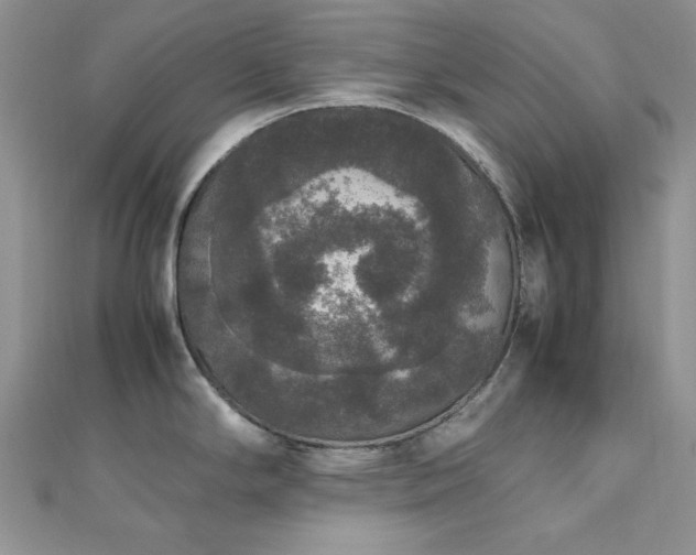 X0000112531294200908171412
