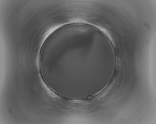 X0000112531295200908171412