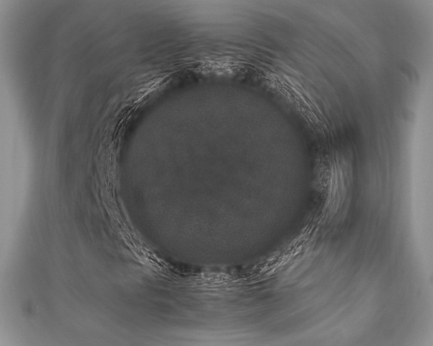 X0000112531297200908171412