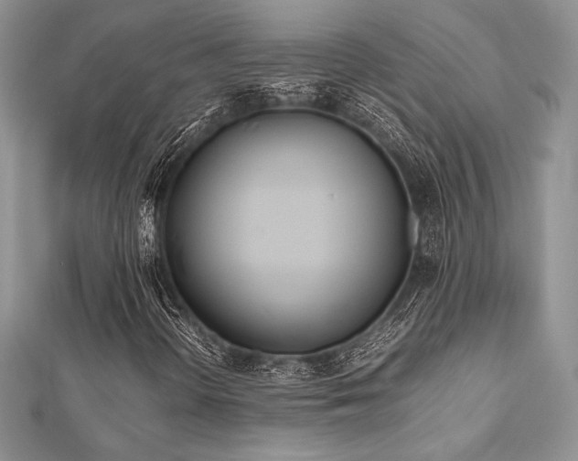 X0000112531298200908171412