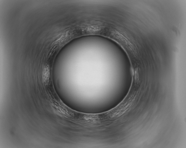 X0000112531299200908171412