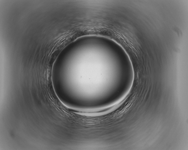 X0000112531300200908171412