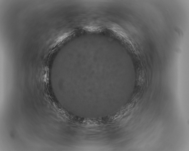 X0000112531301200908171412