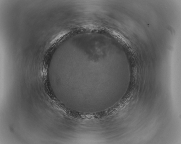 X0000112531302200908171412