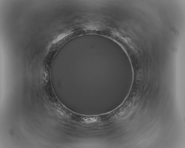 X0000112531303200908171412