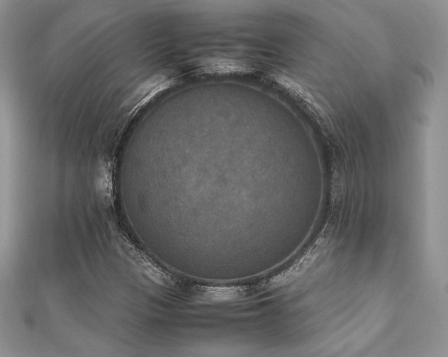 X0000112531305200908171412