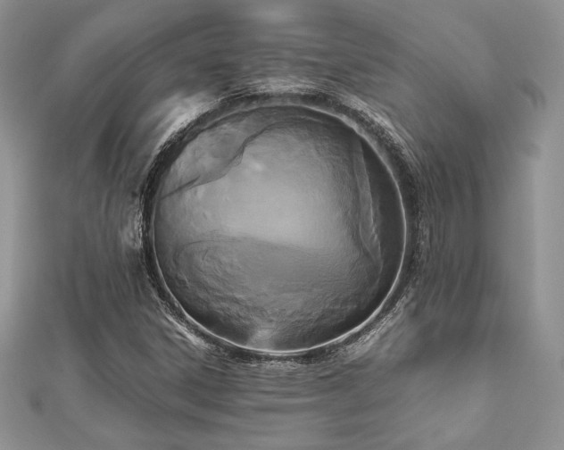 X0000112531306200908171412