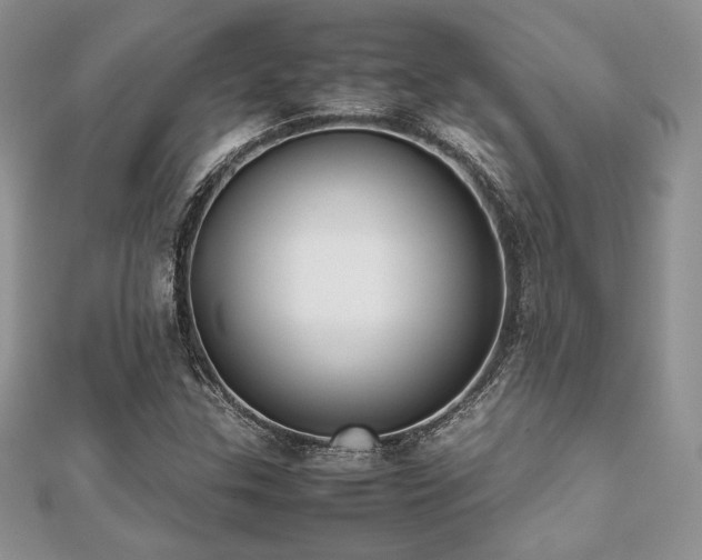 X0000112531307200908171412