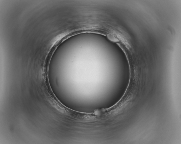 X0000112531308200908171412