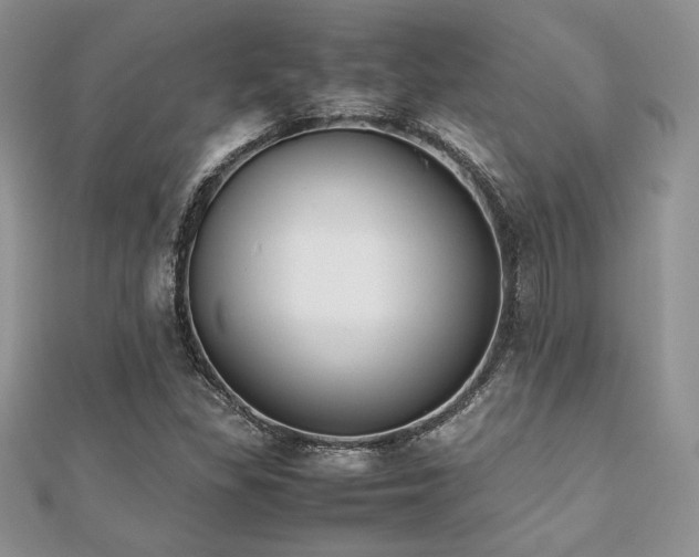 X0000112531309200908171412