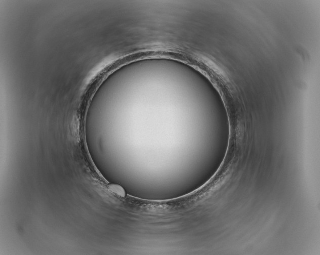 X0000112531310200908171412