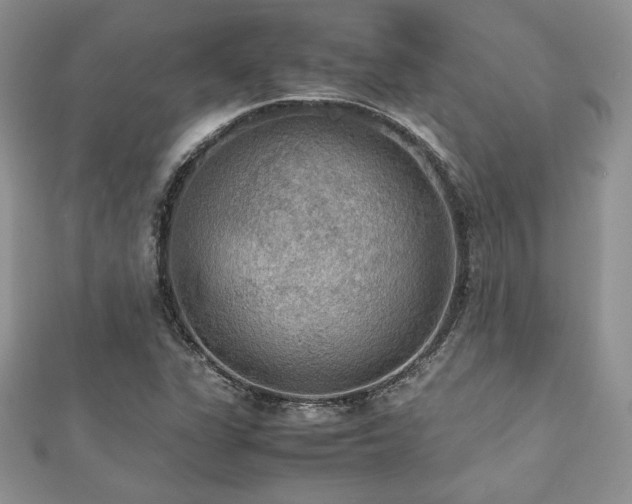X0000112531311200908171412