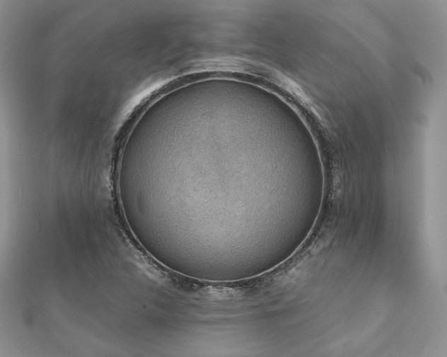 X0000112531312200908171412