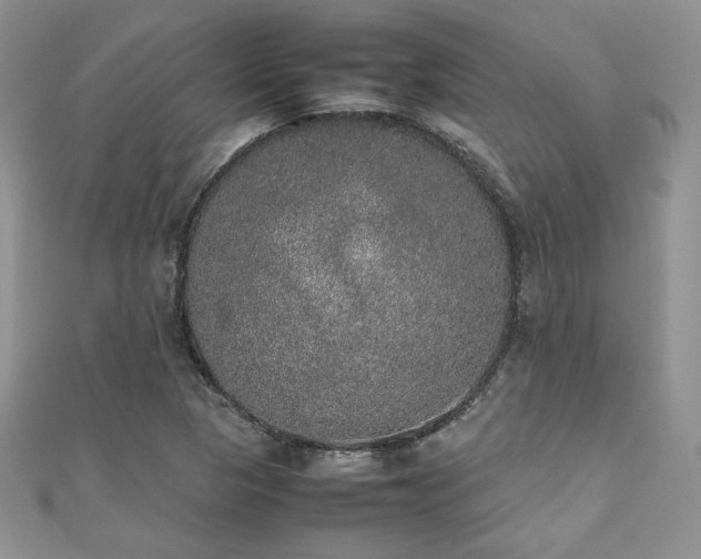X0000112531313200908171412