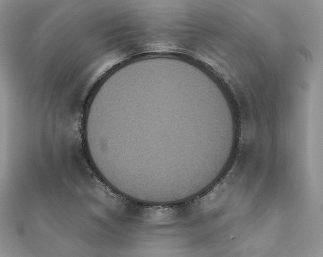 X0000112531314200908171412