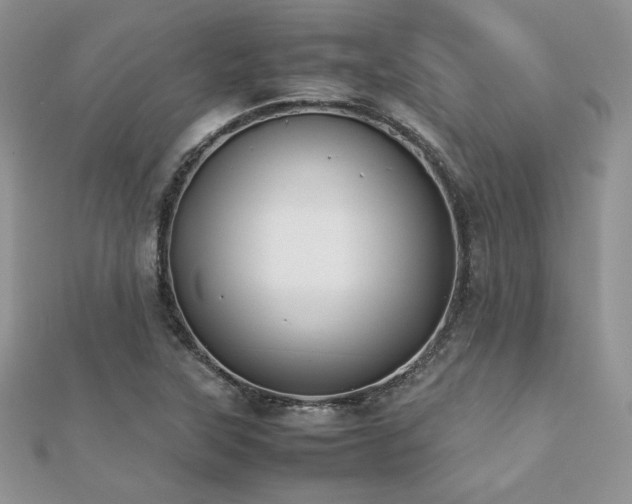 X0000112531315200908171412