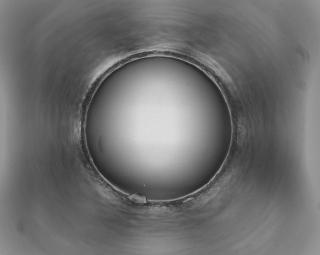 X0000112531316200908171412