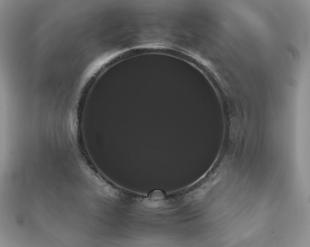 X0000112531319200908171412