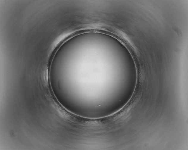 X0000112531320200908171412
