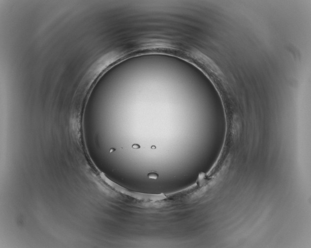 X0000112531321200908171412